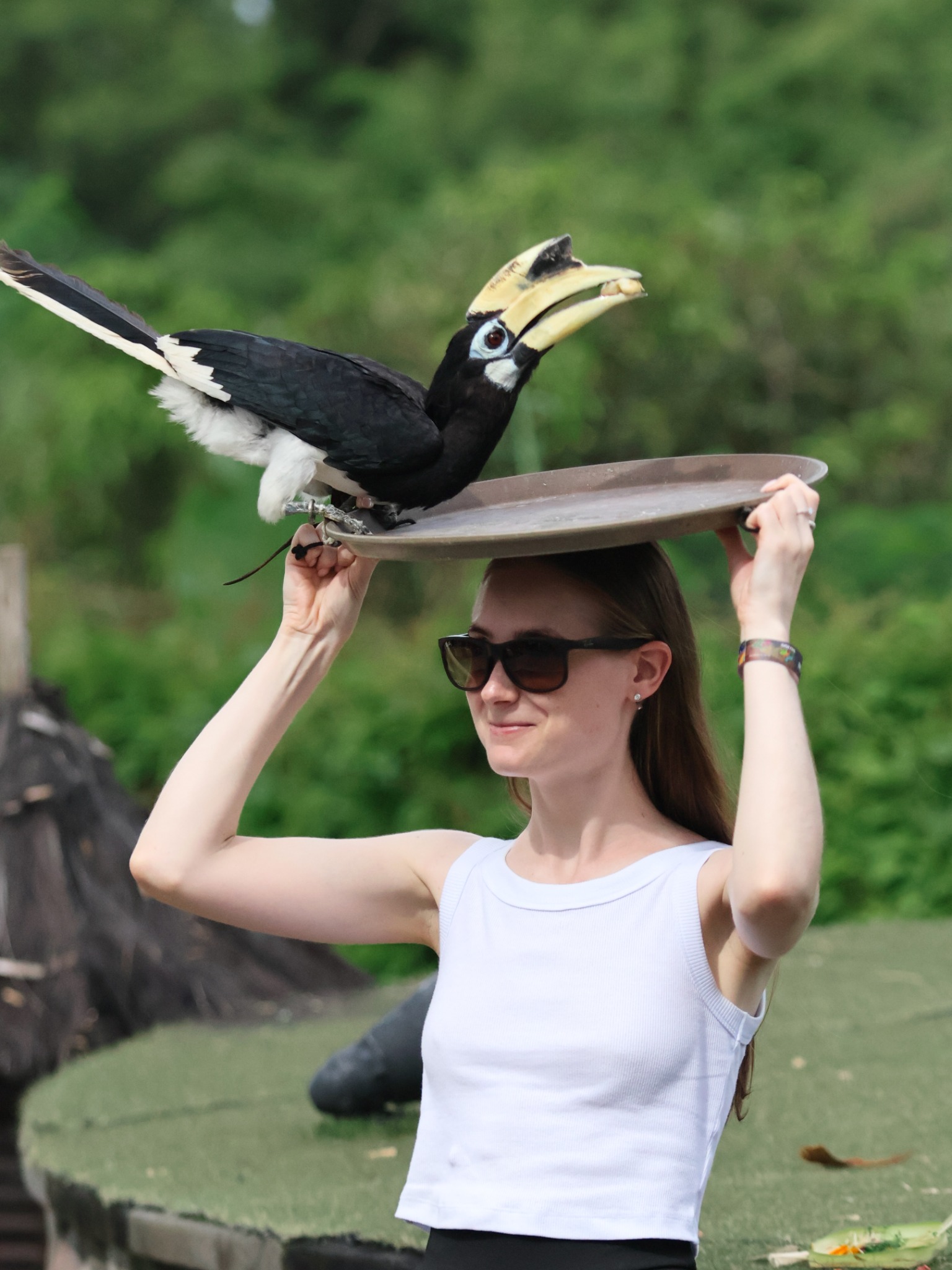 Bali Bird Park Admission Ticket