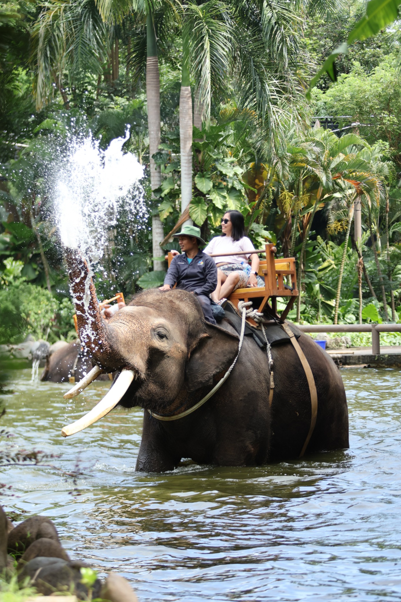 Bali Zoo & Omma Waterfall Tour (Min. booking 2 pax)